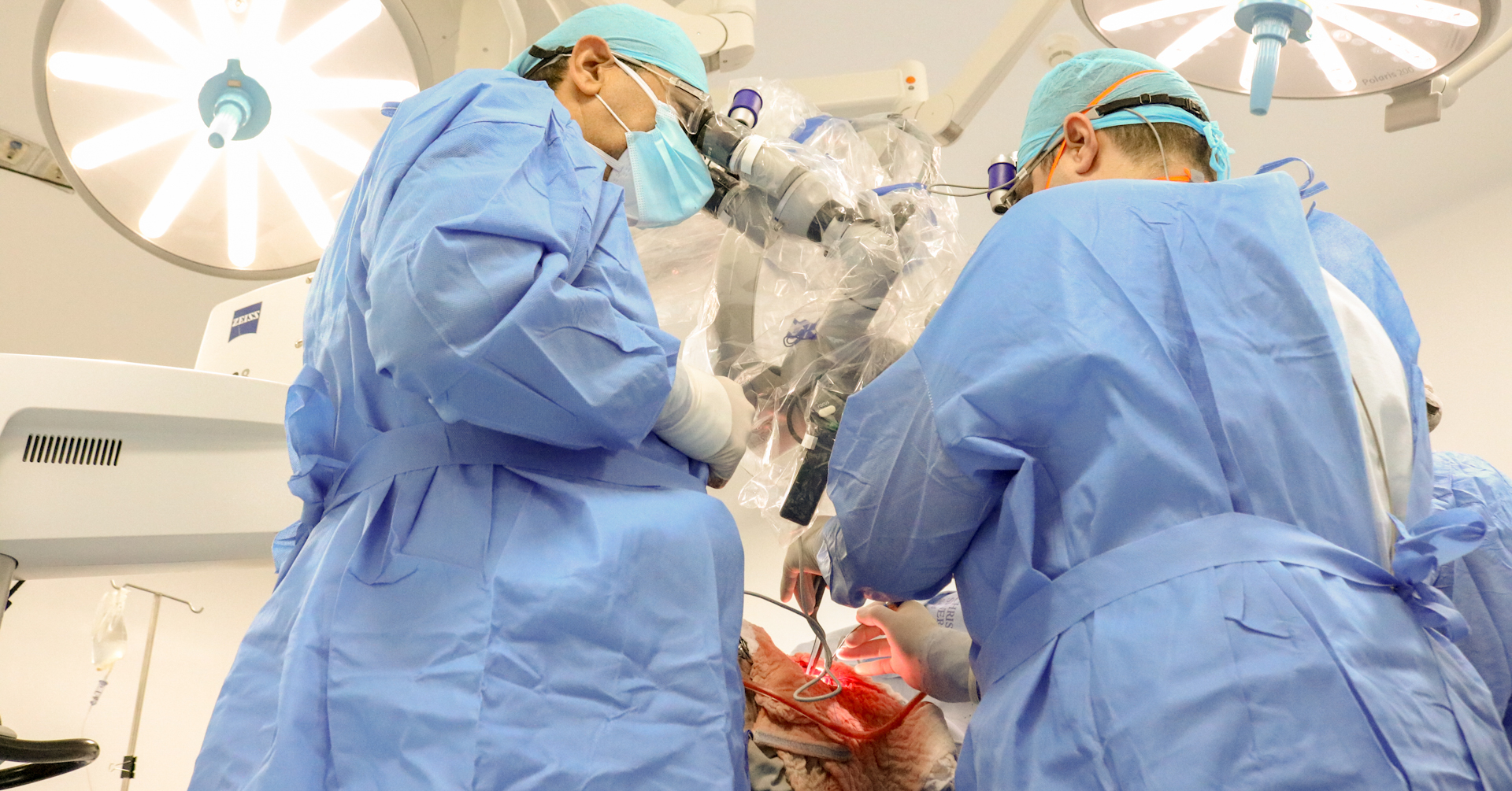 Neurocirugía Clínica Palma Real